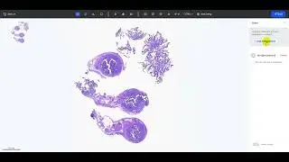 Seamless Access & Collaboration​