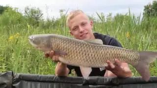 SBS Tactical Bait Team Polska Adrian Stopyra