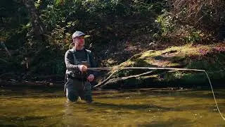 Finding Zen: Fly Fishing in North Georgia