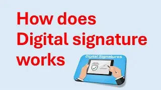 How does Digital Signature works
