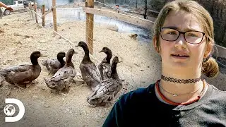 Rescatando animales tras incendio | Alaska: Hombres Primitivos | Discovery Latinoam&eacute;rica