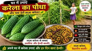 taza karela cooking video।। karela cooking video।। Neelam Nigam twins vlogs
