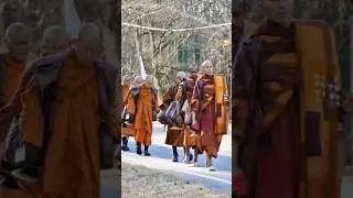 World Peace Walk of Buddhist Monks from Texas to DC 🙏 #buddhism #buddha #texas #dc