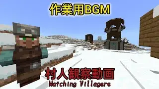 【作業用BGM】【60min+】Snowy Plains Village with an Outpost｜Villagers Walking Through the Snow雪の中を歩き回る村人さん達
