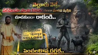 నెల్లూరు జిల్లాకు వెళ్తే జలపాతం మిస్ అవ్వకండి : Penchalakona Temple History & Travel Guide