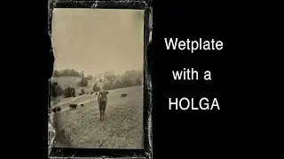 Wetplate with a Holga