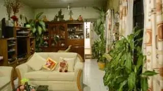 flycam3000 test