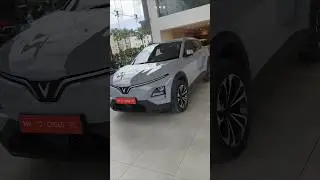 Is the VinFast VF 6 the Next BIG EV in India? 🤔