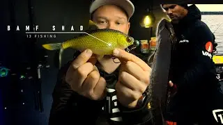 13 FISHING BAMF SHAD // TACKLE TIRSDAG