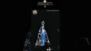 Blessed Virgin Mary Drones