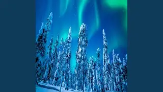 Winter Dreaming