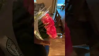 How to PROPERLY apologize to your wife..