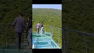 Glass Bridge | Nature Safari | Rajgir | #shorts
