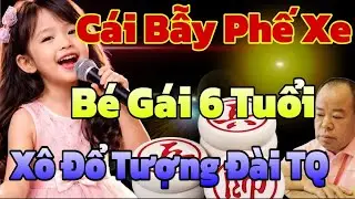 Một Nước Đi Sai và Cái Kết Khiến Cả Bàn Cờ Câm Lặng 