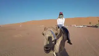 Sunset Camel Ride, Oman