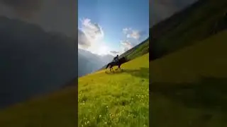 a horse riding on a mountain #horse#brainrot #soralife #sora