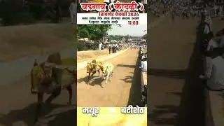 MATHUR🚀 ~ BANTISHETH💯 #naadekachbailgadasharyat #bailgadalive #manya #naadekchfaktbailgadasharyat