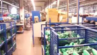 Lloyd Shoes in Sulingen