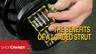 The Benefits Of A Loaded Strut