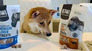 Shiba new Snack-o-Rama 🐔 🥩#dogtreats #shibainu
