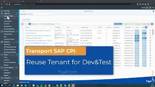 SAP Cloud Integration/CPI transport on one system