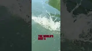 Представляем лучшую в мире наживку для сома! 🎣🐟🫢