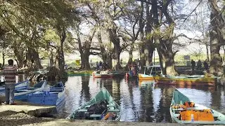 Descubre La Magia De Lago De Camécuaro: Paraíso Escondido En Michoacán #michoacán #mexico #camécuaro