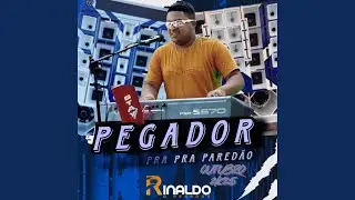 Vidigal
