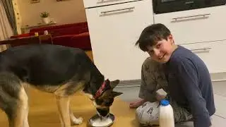 Dyzio i Alutka. Dusza psa czy kota? Odcinek 3