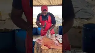 Fastest Trevally Fish Cut Ever! 😲 15-Second Fillet Masterclass | ASMR Knife Skills 🇮🇳🇺🇸 #shorts