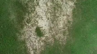 DJI Phantom 4 Pro with a Gannet x sport bait release first attempt to flying out with a 20 knot wind