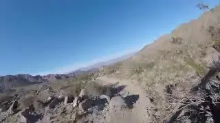 Boo Hoff - Lizard King - Laquinta Cove