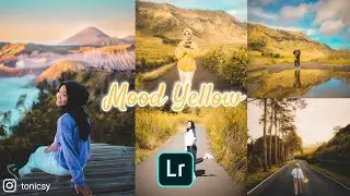 Mood Yellow presets || free download lightroom presets dng 2021 || how to edit photo using lightroom