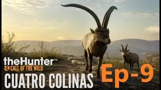 Am prins un Roe Deer Diamond cu ajutorul lui Brumy pe theHunter