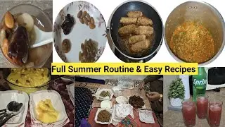 1. My Full Summer Routine 🌞|| Morning to Night Vlog with Easy Recipes||zabardast Home Remedy 