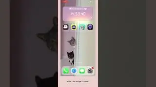 How to Set up a Widget