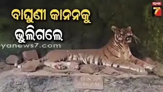 ନନ୍ଦନକାନନର ପ୍ରତିଷ୍ଠା ଦିବସରେ ବାଘୁଣୀ 'କାନନ'କୁ ଭୁଲିଗଲେ କର୍ତୃପକ୍ଷ, କାହିଁକି ଏମିତି ଅବହେଳା ? | PrameyaNews7