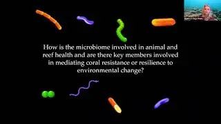 IBSS Seminar Series, Ep. 14: 