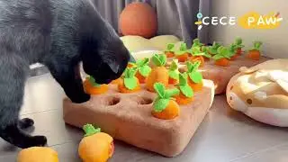 CECE PAW Cat Carrot Snuffle Mat.
