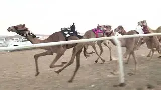 الشوط الثاني للقايا بكار 