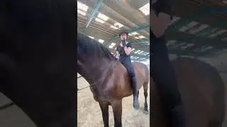 Spa&szlig; im Reitcamp😍🐎❤️