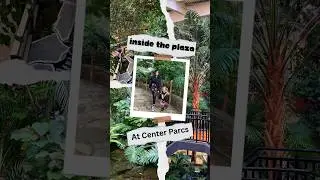 Center Parcs Plaza 🍃 #longleat #centerparcs #synthwave #family