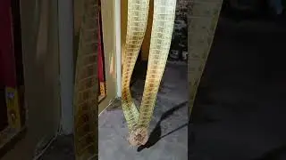 Ganesh gaja mala making money💰 money garland/trending yt shorts/
