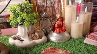 Live Tarot reading