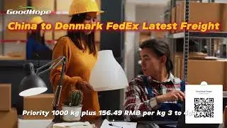 FedEx Express: China to Denmark Logistics Service