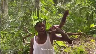 Penebangan hutan dan digantikan dengan kelapa sawit 