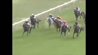 競馬  スポーツニッポン賞ステイヤーズステークス(ＧＩＩ) アルバート 2017