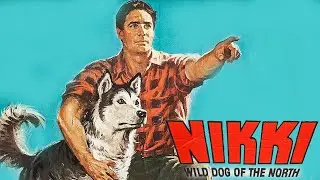 Nikki: Wild Dog of the North 1961 Disney Film | Jean Coutu, &Eacute;mile Genest, Uriel Luft | Movie Review