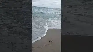 pt2CRYPTO CAPITAL OF THE USA, MIAMI BEACH AREA AND MAKE BLOCKCHAIN FRIENDS XDC XRP XPR