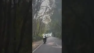 Duars😍#nature #shortvideo #viral #youtubeshorts #duars #forest